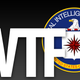 Illustration for article titled CIA Creates WTF